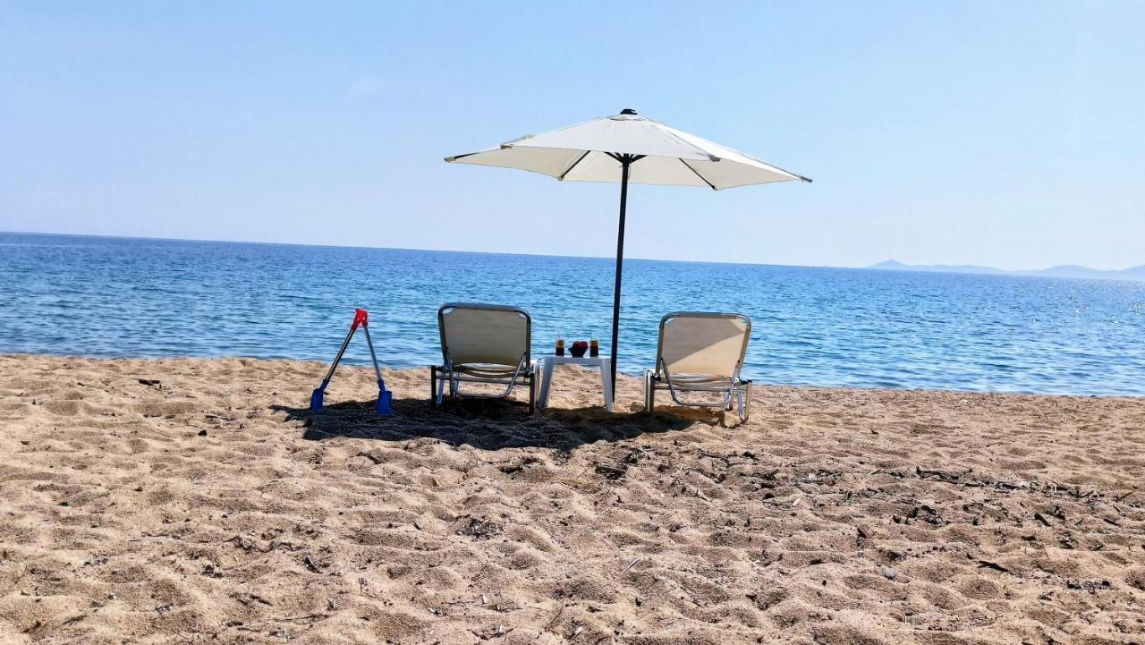 הוילה לריסוס Xd Al Mare מראה חיצוני תמונה